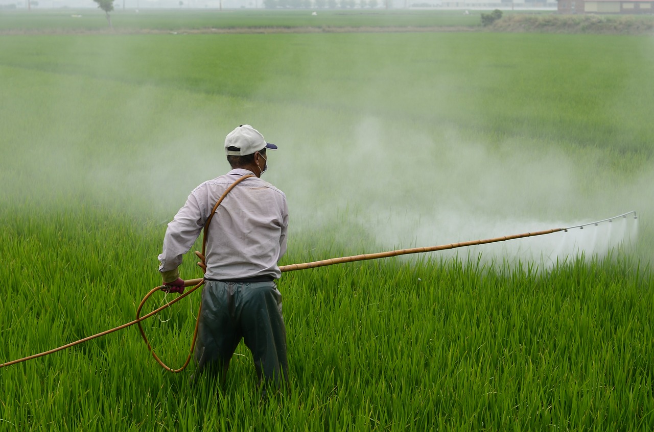 MARKETING AUTHORIZATION OF INSECTICIDES IN INDIA