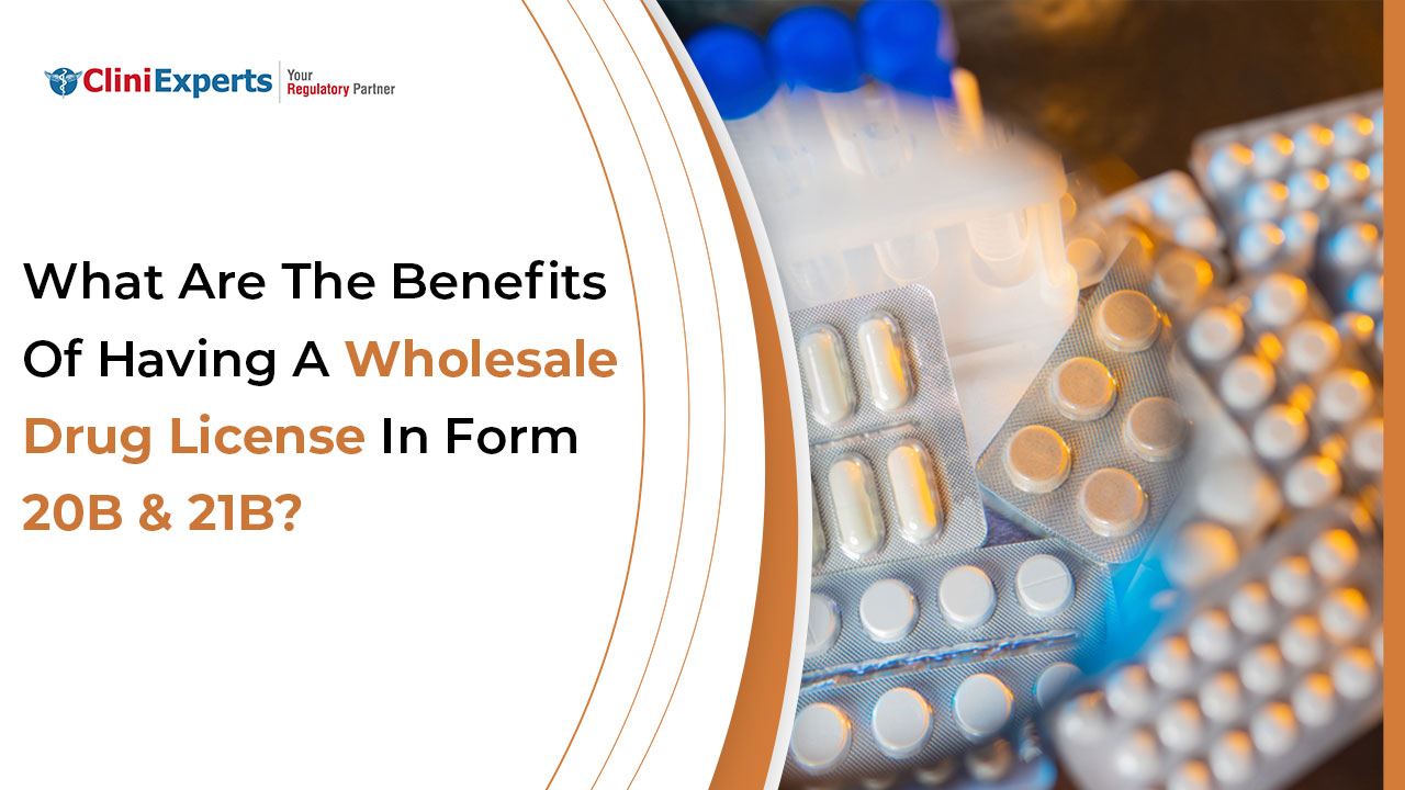 What Are The Benefits of Having A Wholesale Drug License In Form 20B & 21B