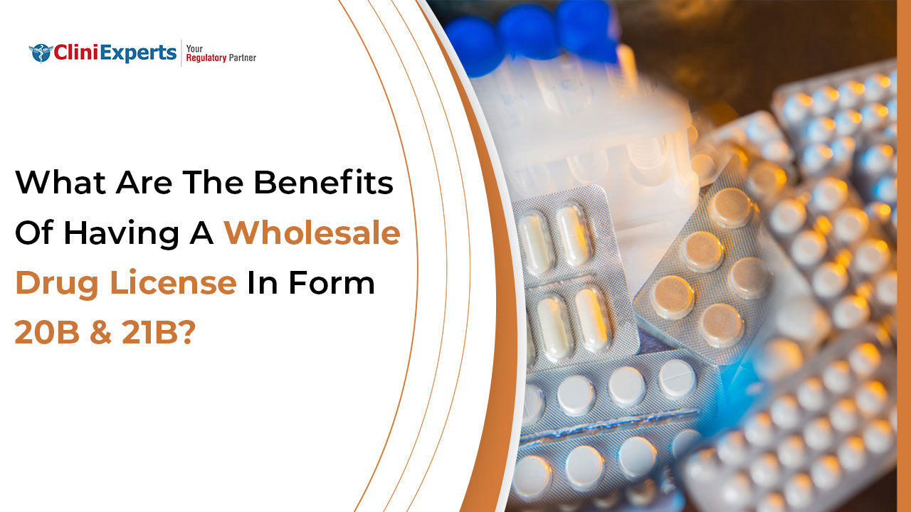 Wholesale Drug License