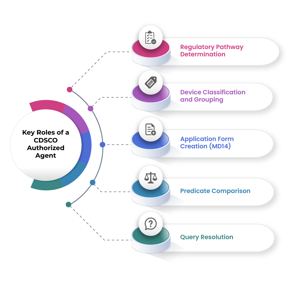 key roles CDSCO